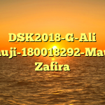 DSK2018-G-Ali Tarmuji-180018292-Maulida Zafira